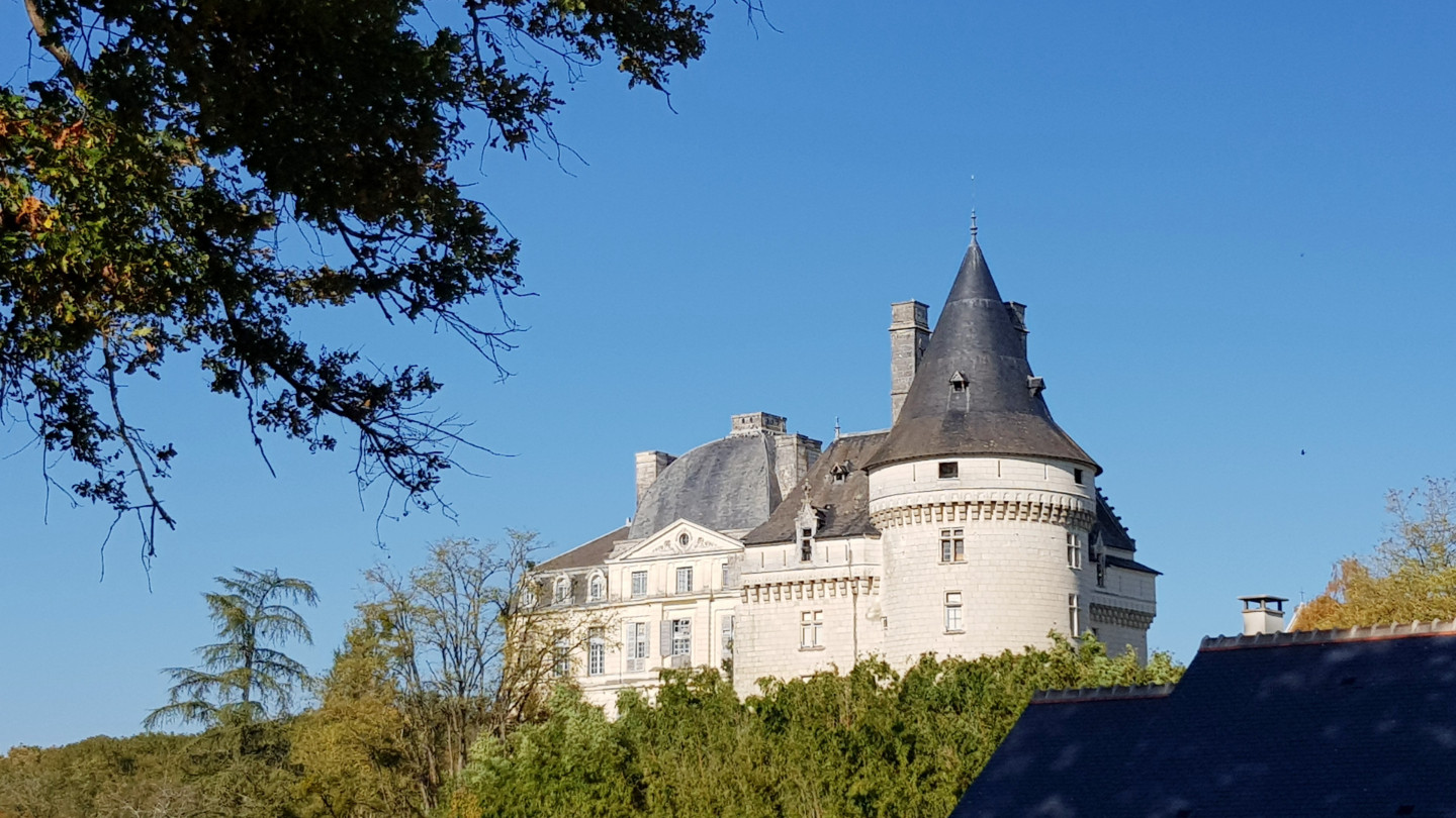 🚶‍♀️ Randonner au départ du domaine, nature et patrimoine