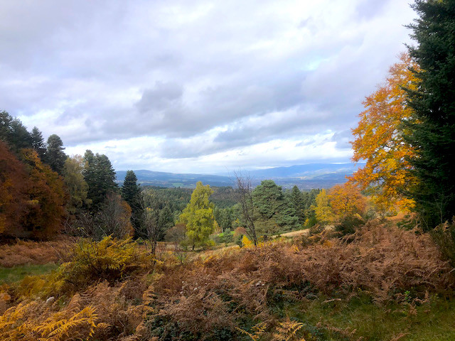 En pleine nature