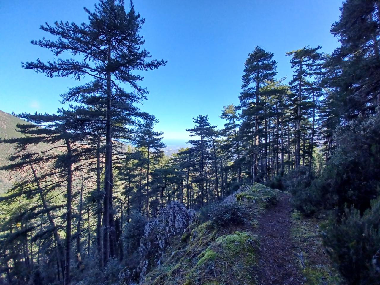 Départ de randonnées et du GR20