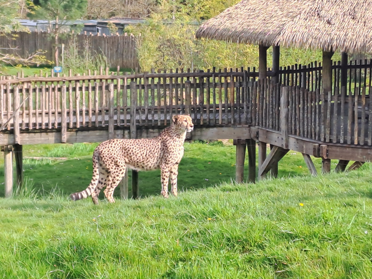 CHATEAUX DE LA LOIRE ET ZOO DE BEAUVAL
