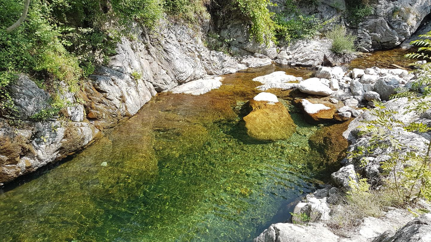 Rivières de baignade à côté de la ferme