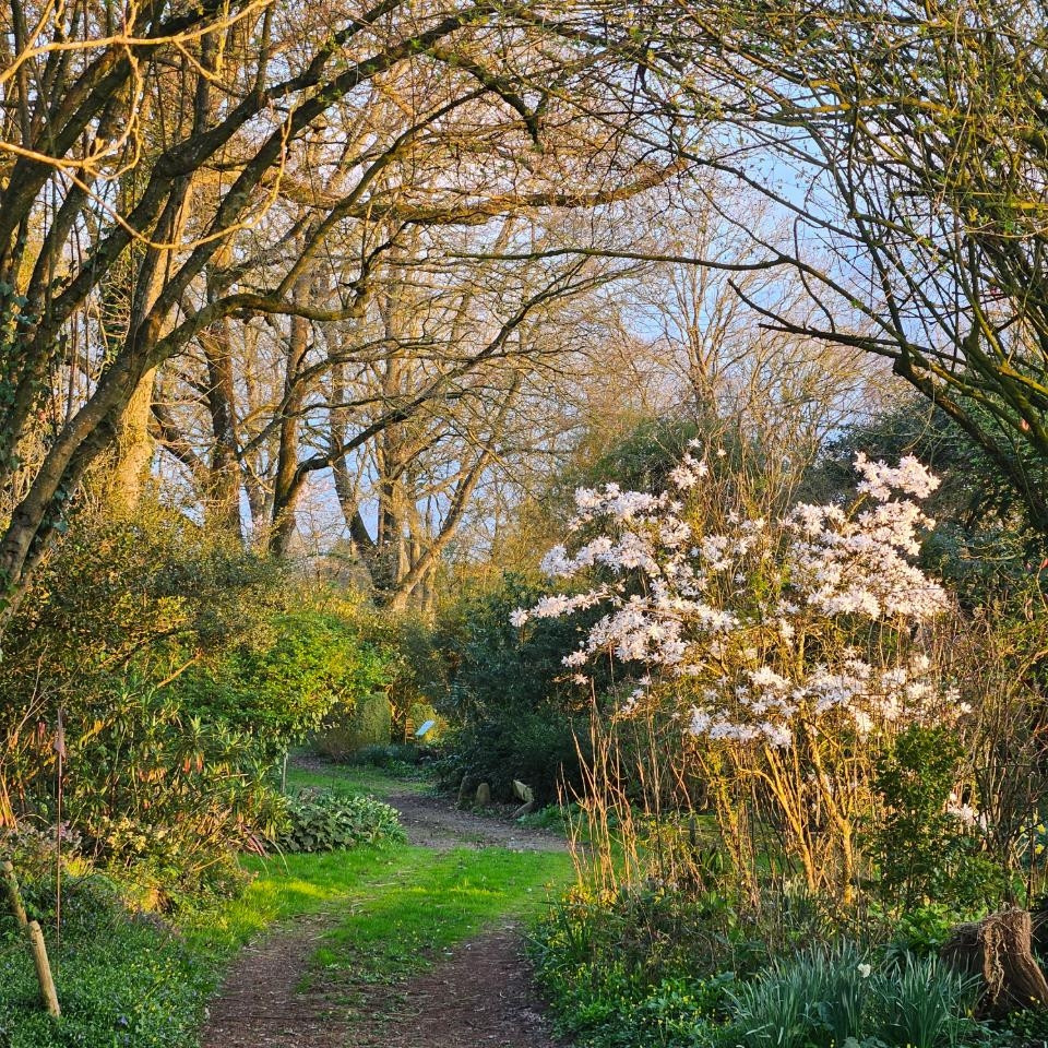 La Cabulle au cœur des Jardins Polypodes
