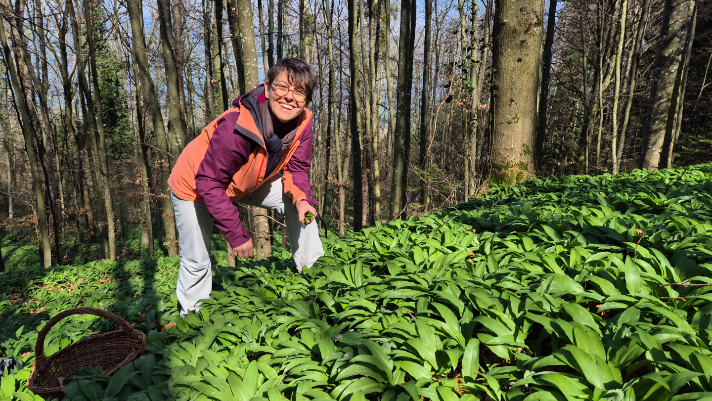Au jardin ou au cours d'une sortie, allons à la rencontre des plantes sauvages comestibles
