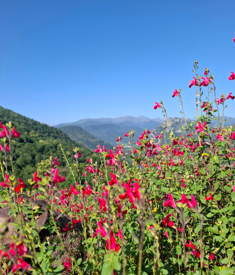 Randonnée  départ  depuis le gite