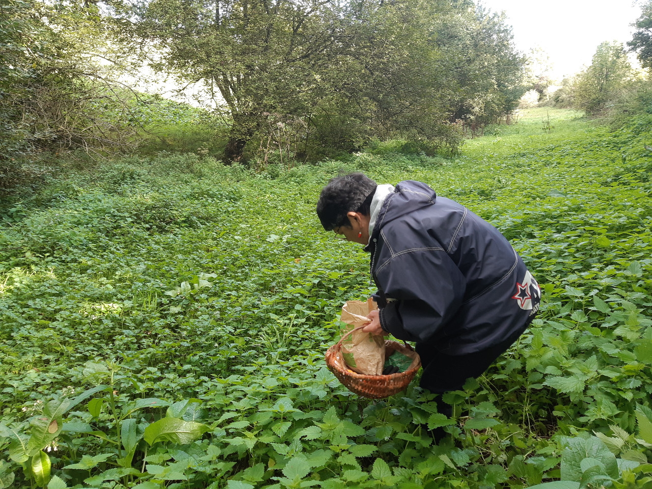 Sortie botanique et cuisine "plantes sauvages"
