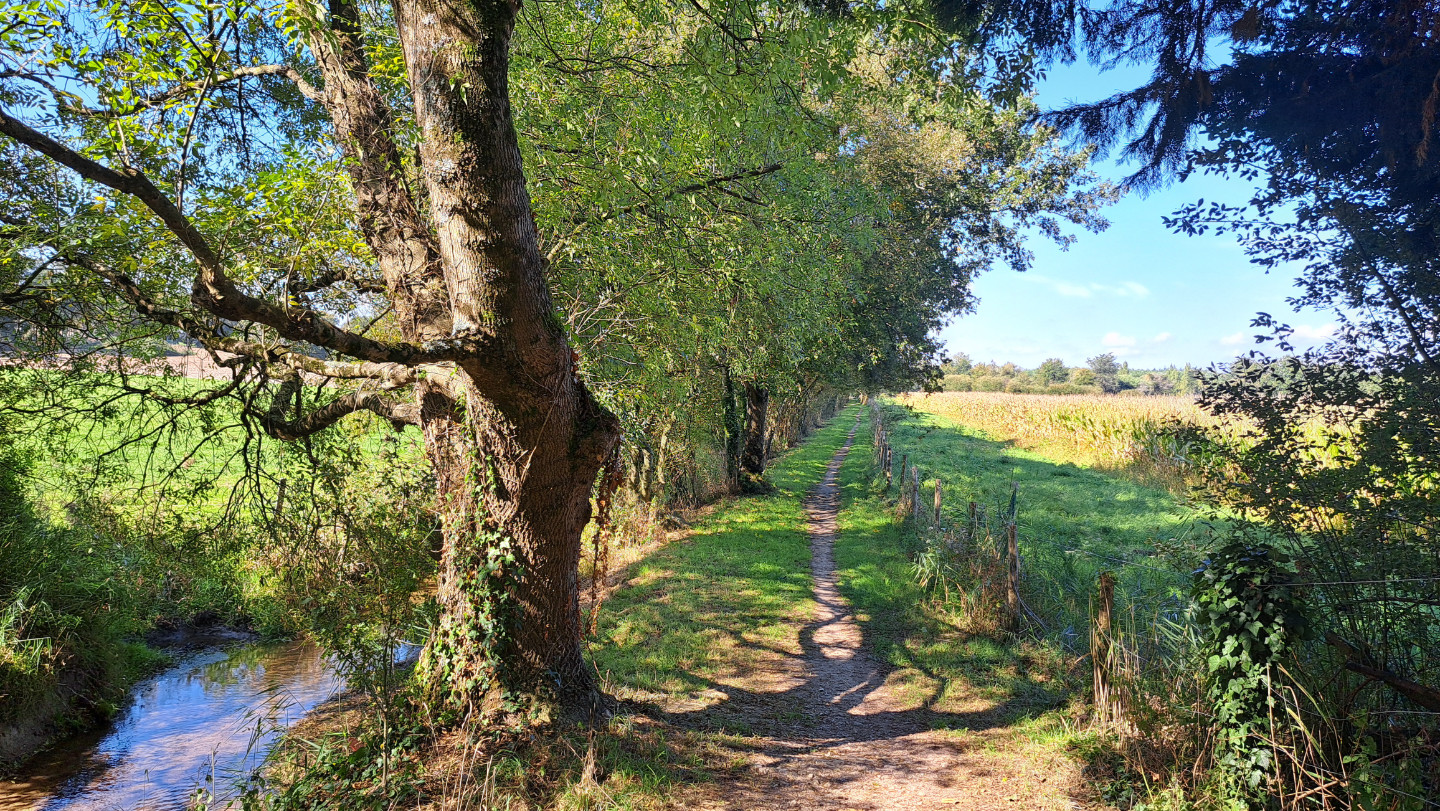 Au calme , en pleine nature, tout près de Vannes.
