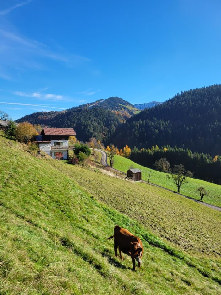Chalet au calme avec vue sur les sommets