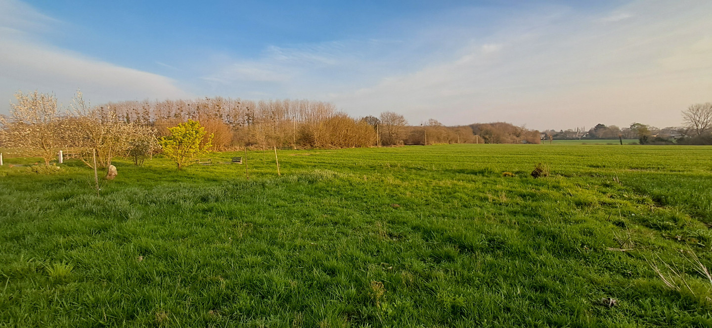 "Isolé en pleine nature"