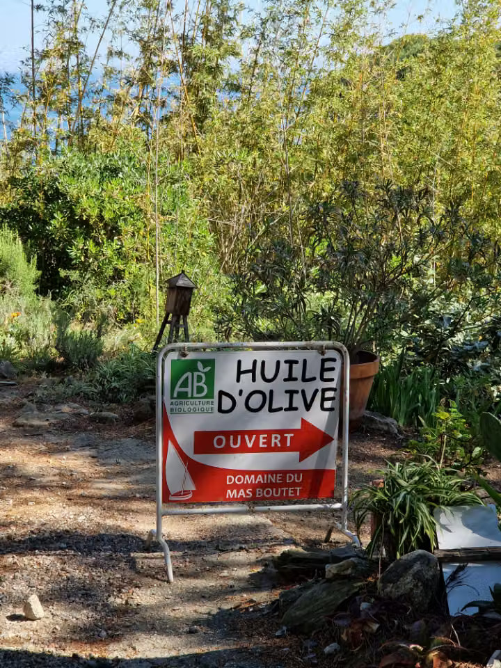 Goutez les produits de notre oliveraie bio