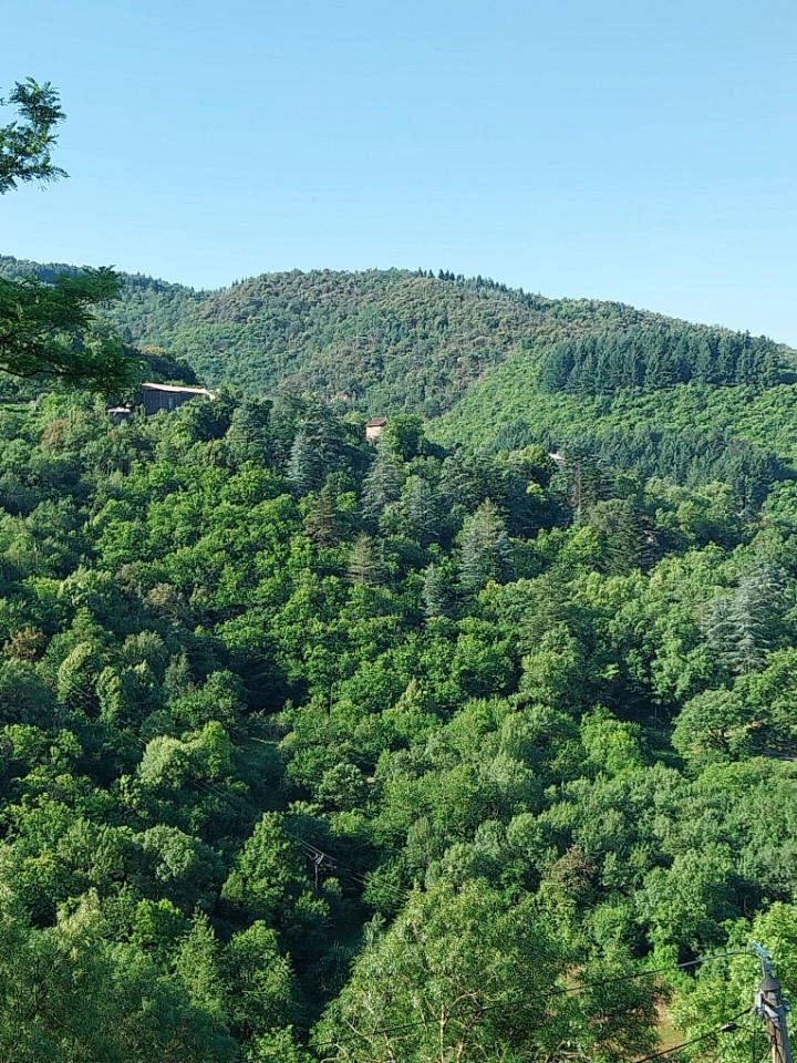 Au calme dans la nature