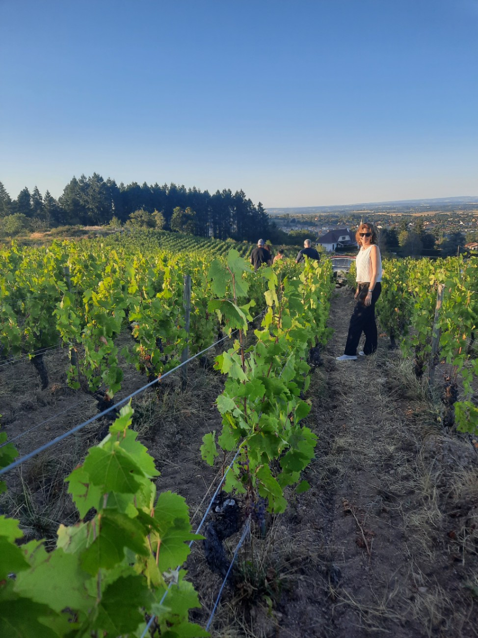 Au cœur des vignes et de la nature