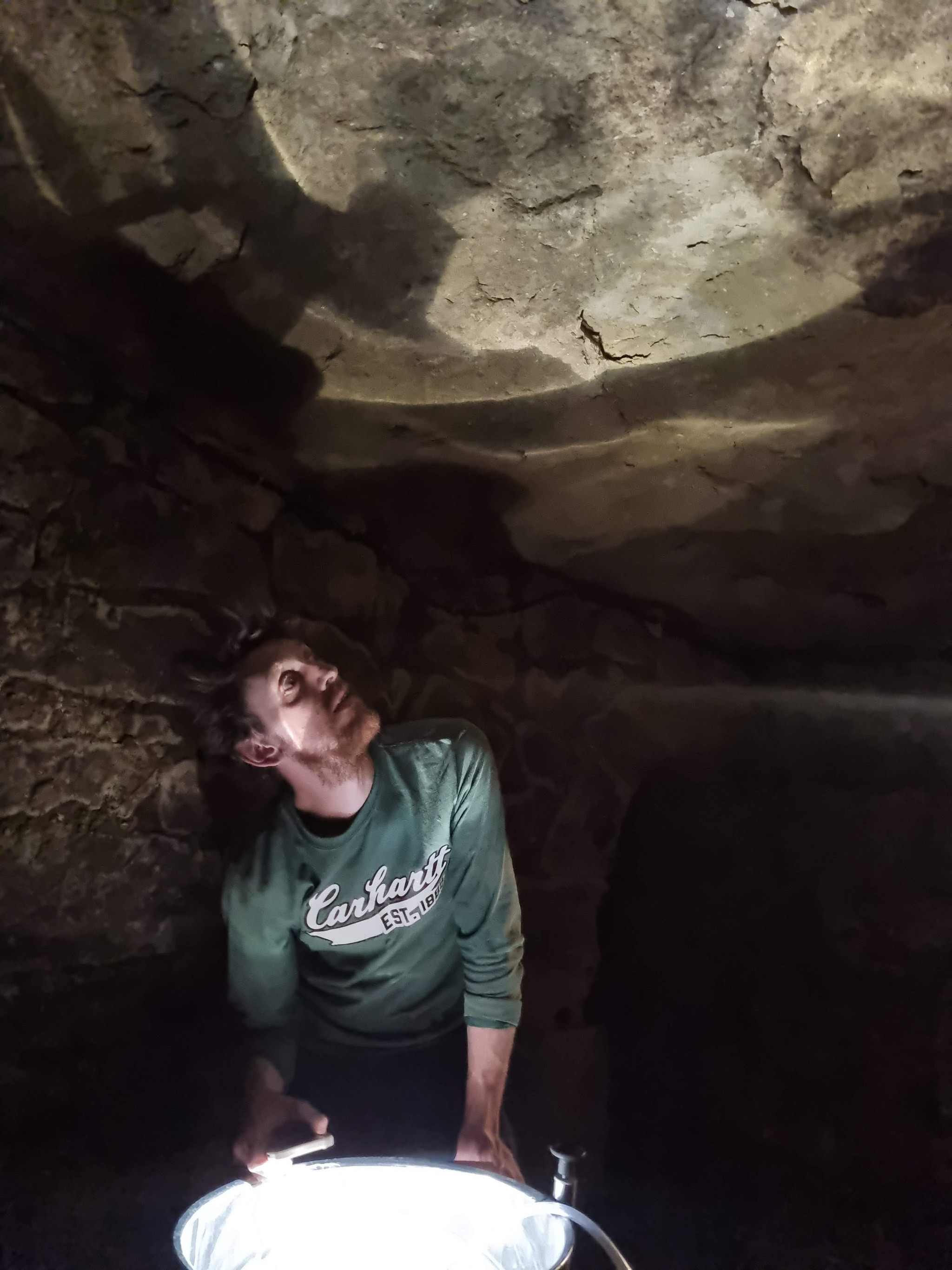 Visite du chai et des caves, tour dans les vignes