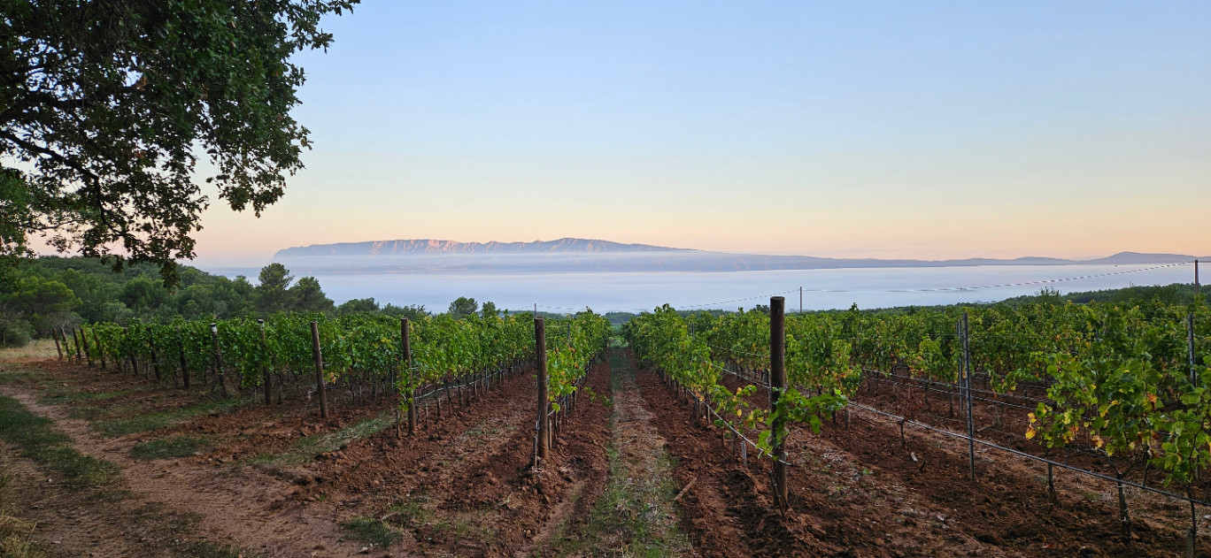 La Provence se découvre aussi dans les vignes