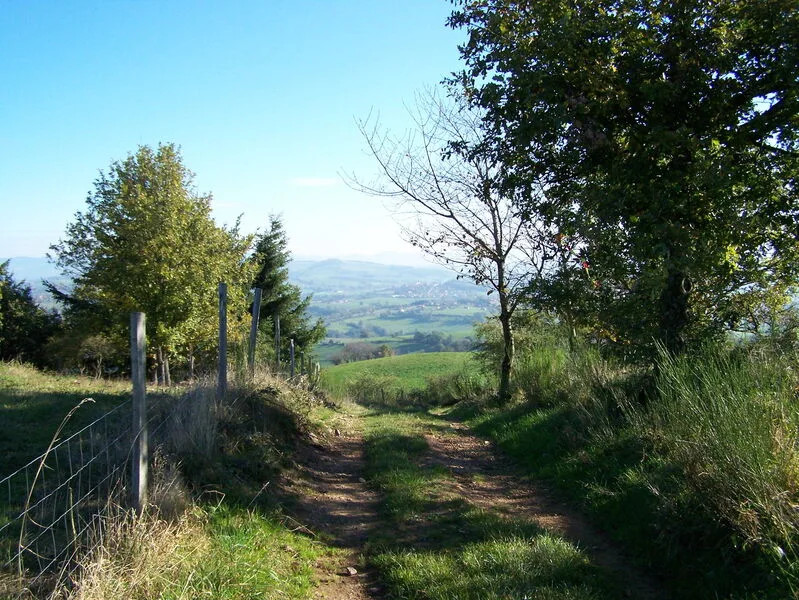 Randonnées au départ du gîte