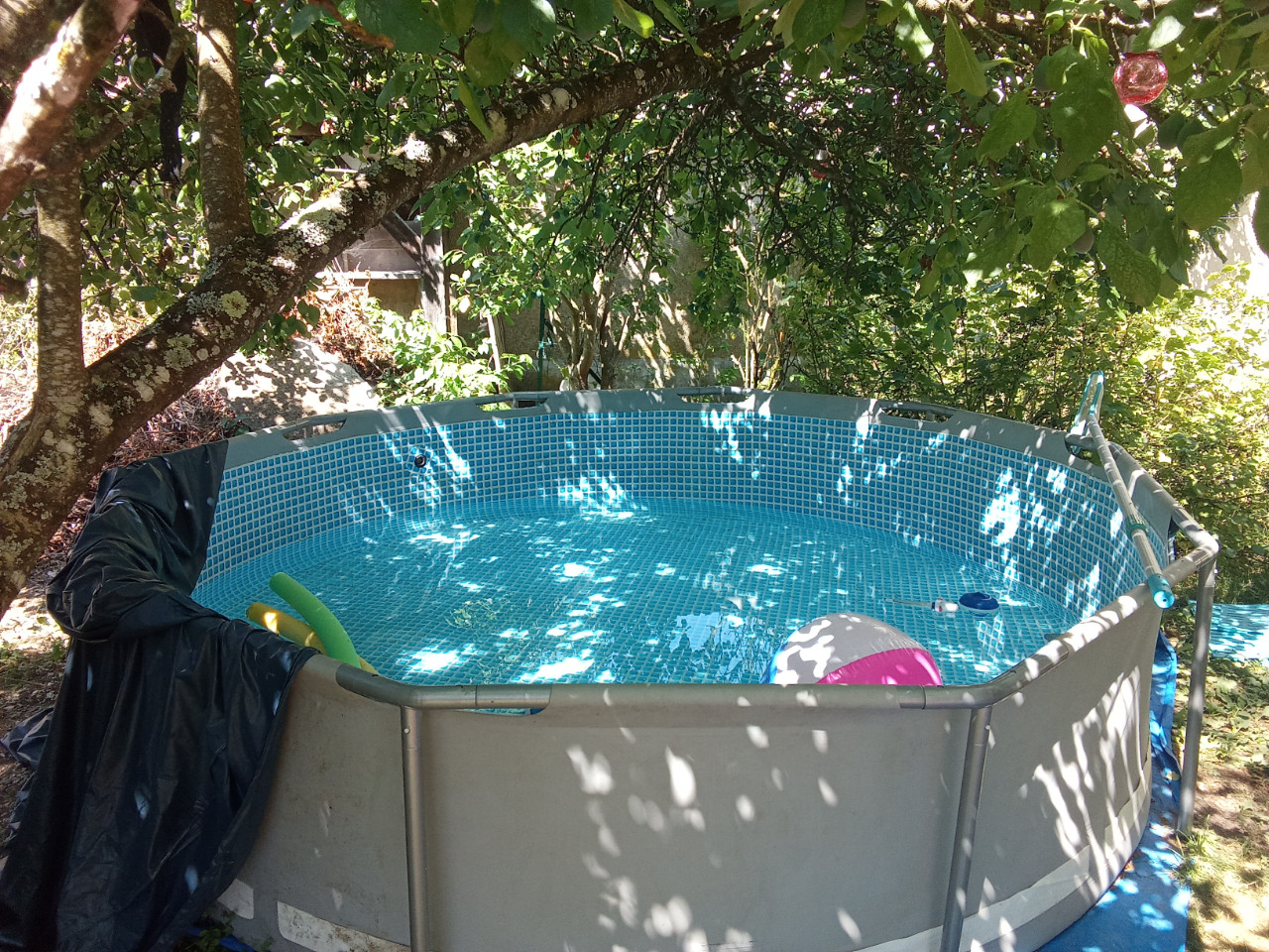 Piscine avec ombre naturelle