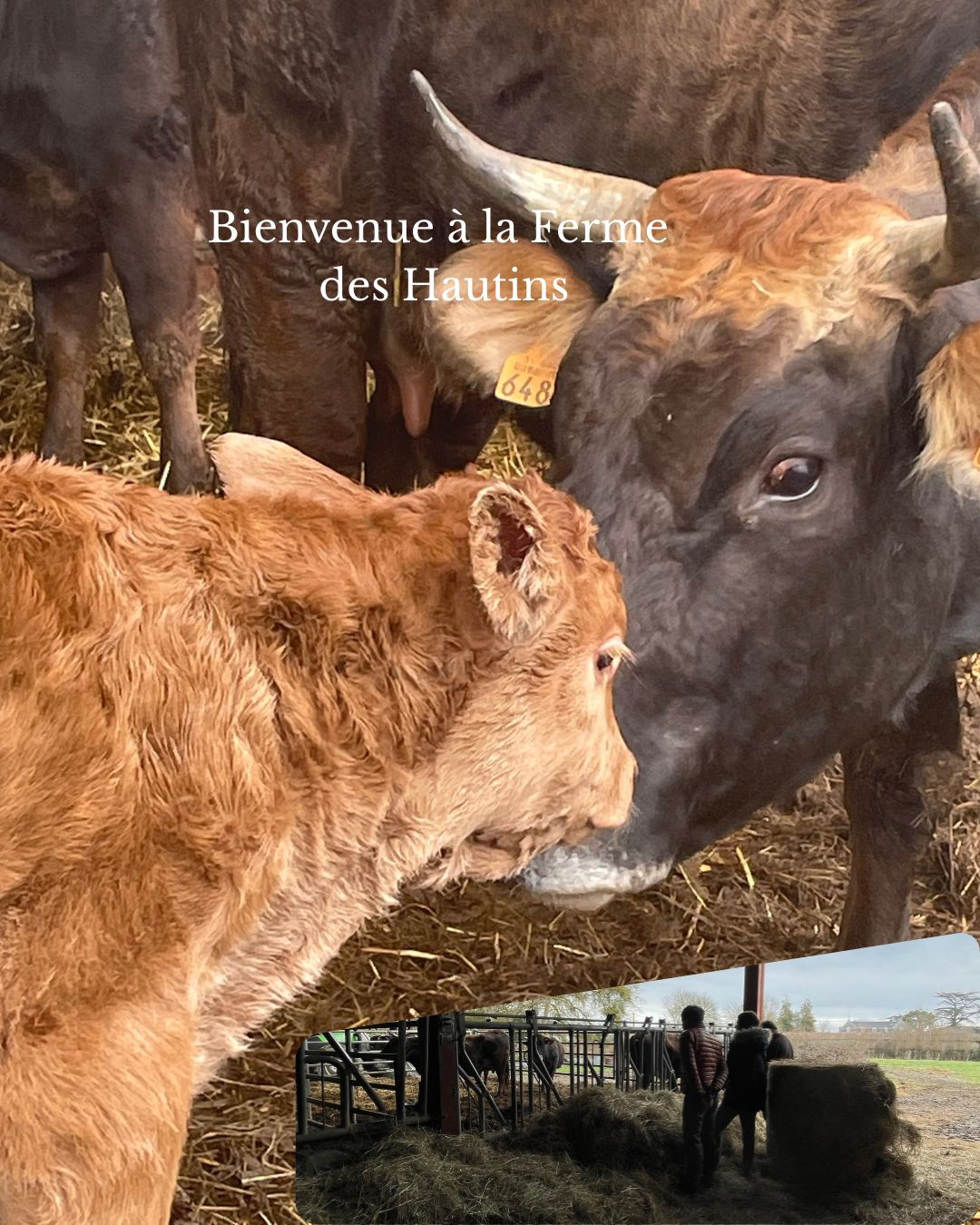 Visite de la Ferme
