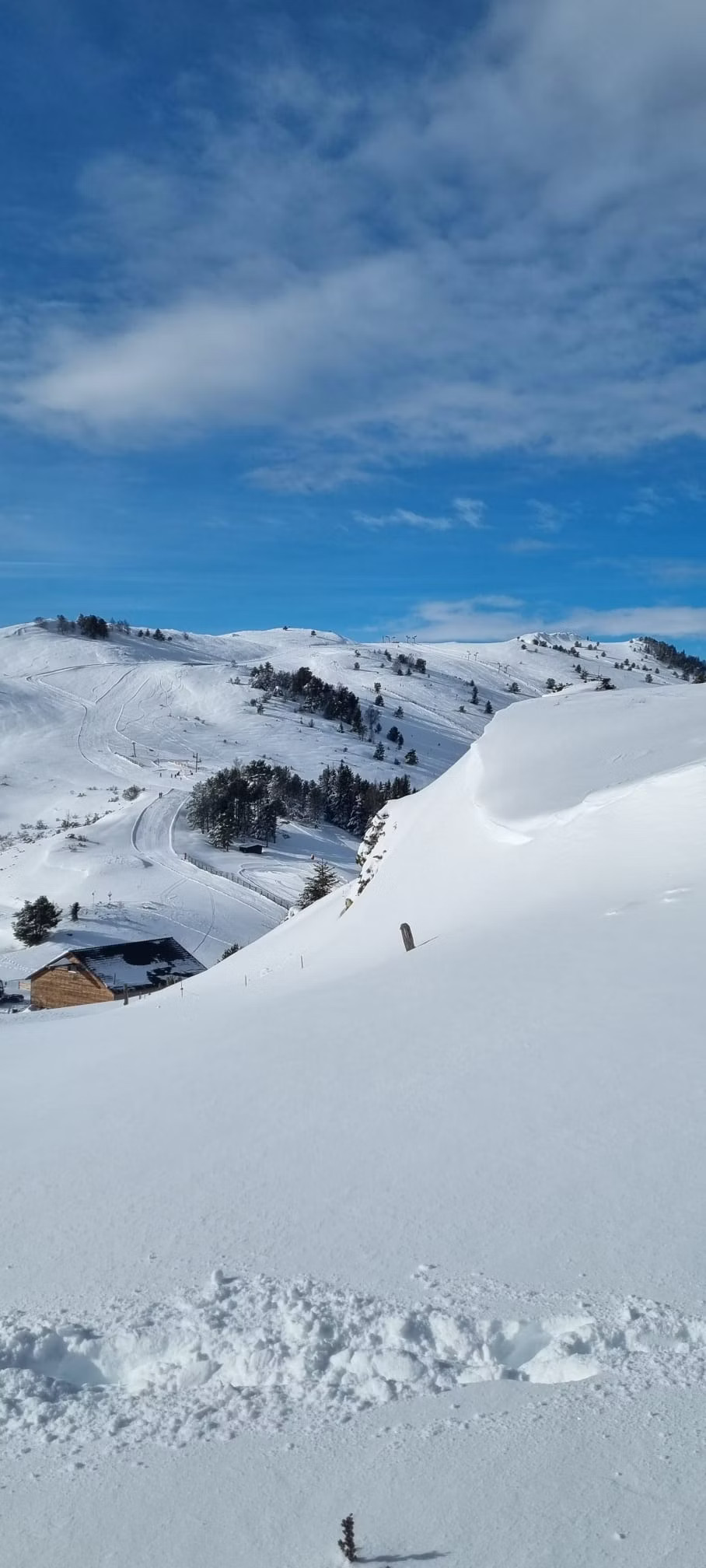 Fraîcheur en été et des activités selon les saisons : ​ski, raquettes, randos, escalade. Cueillette de myrtilles, champignons. Observation des marmottes, des oiseaux, étoiles, fleurs sauvages dont les orchidées des Pyrénées.  Des vaches en estive.