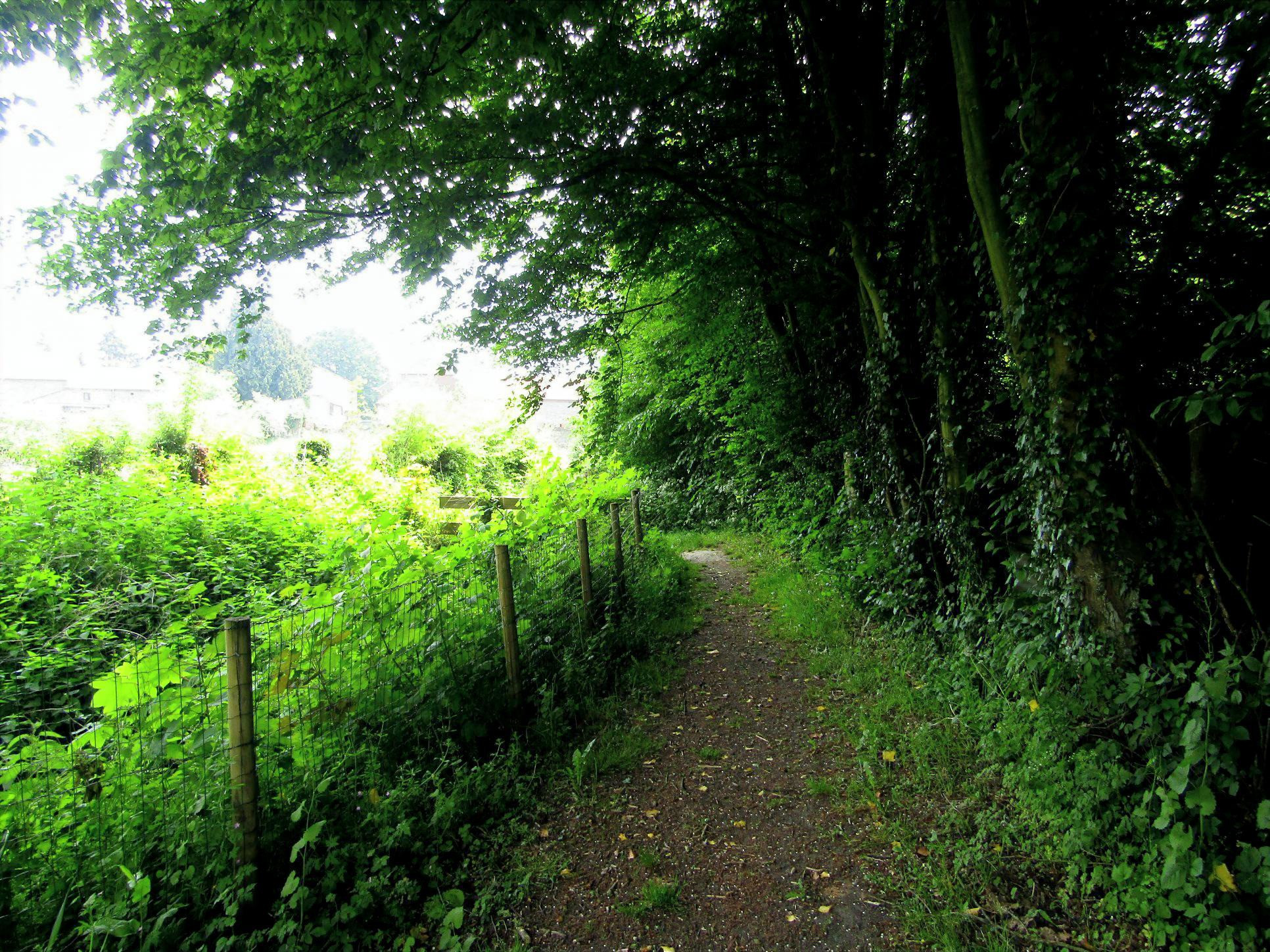 Nombreux chemin de randonnée au départ de La Source de nos Racines