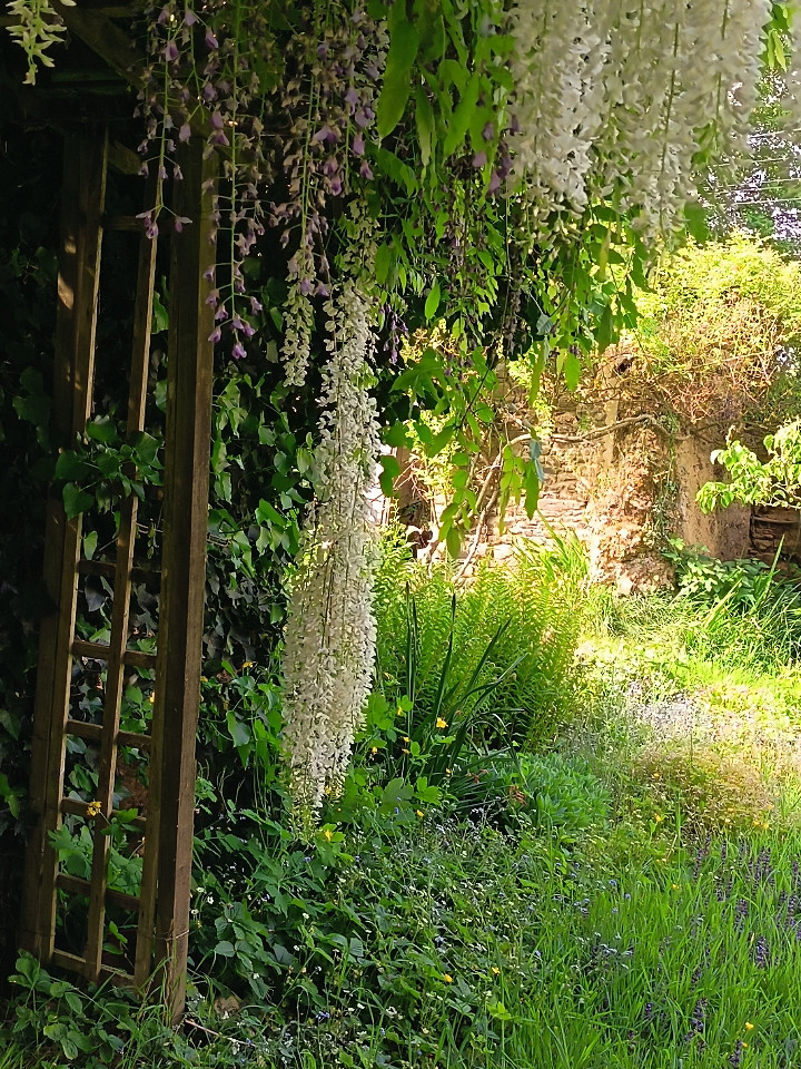 Notre jardin est un havre de paix
