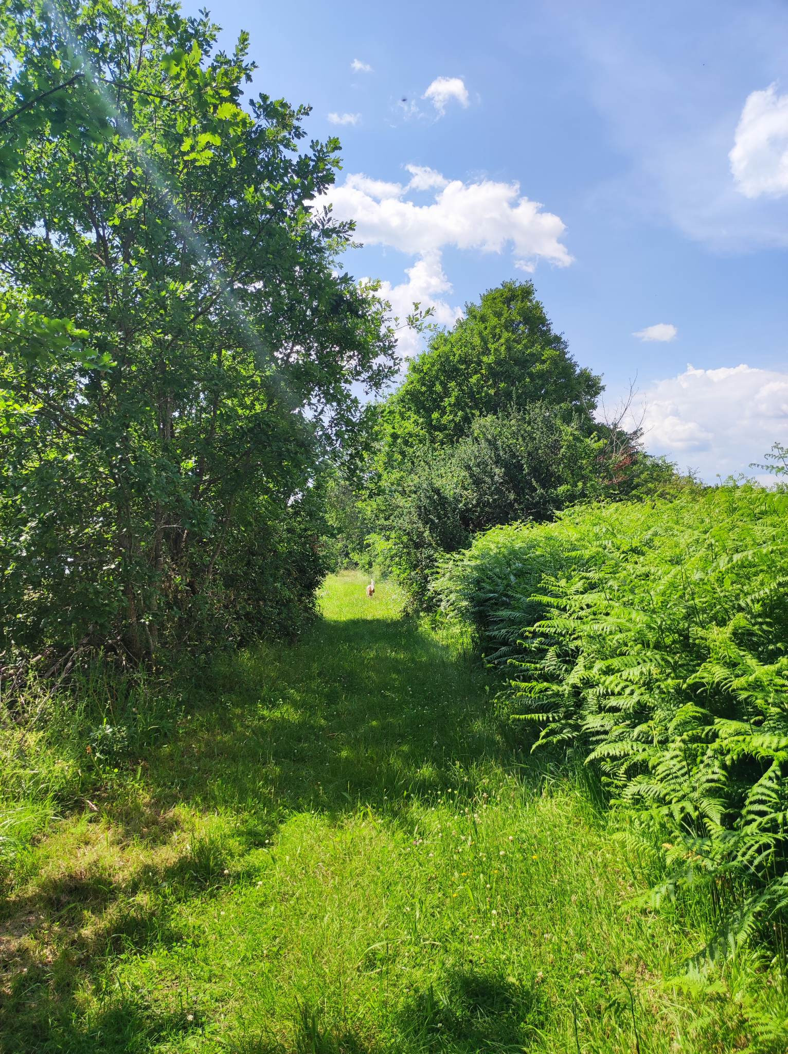 Départ direct pour balades et randonnées en nature