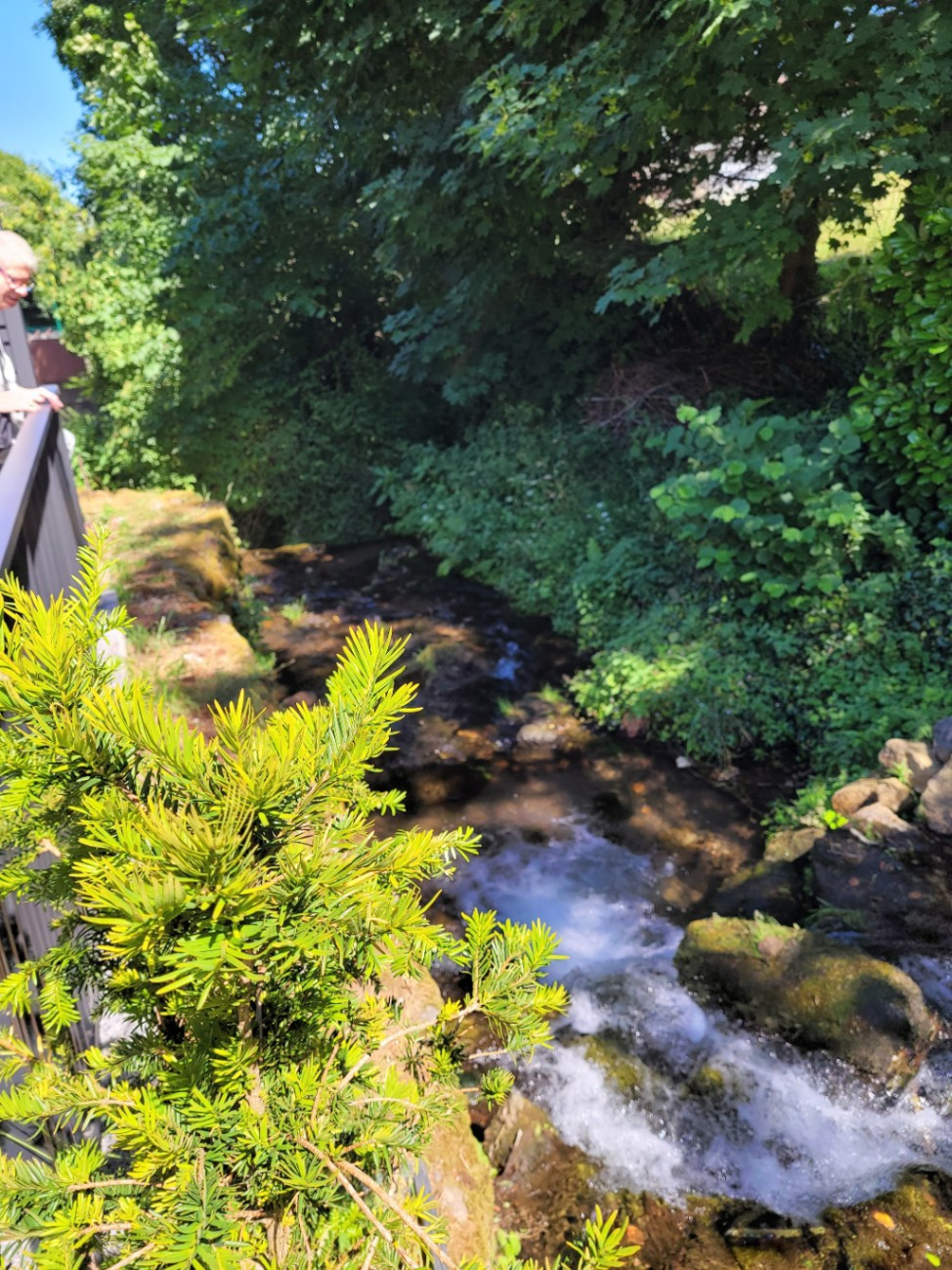 Rivière enchantée