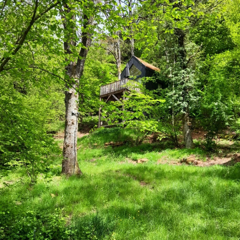 Randonnées depuis le gîte dans les Vosges.