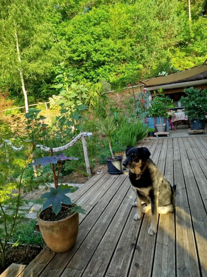 Fraîcheur et calme