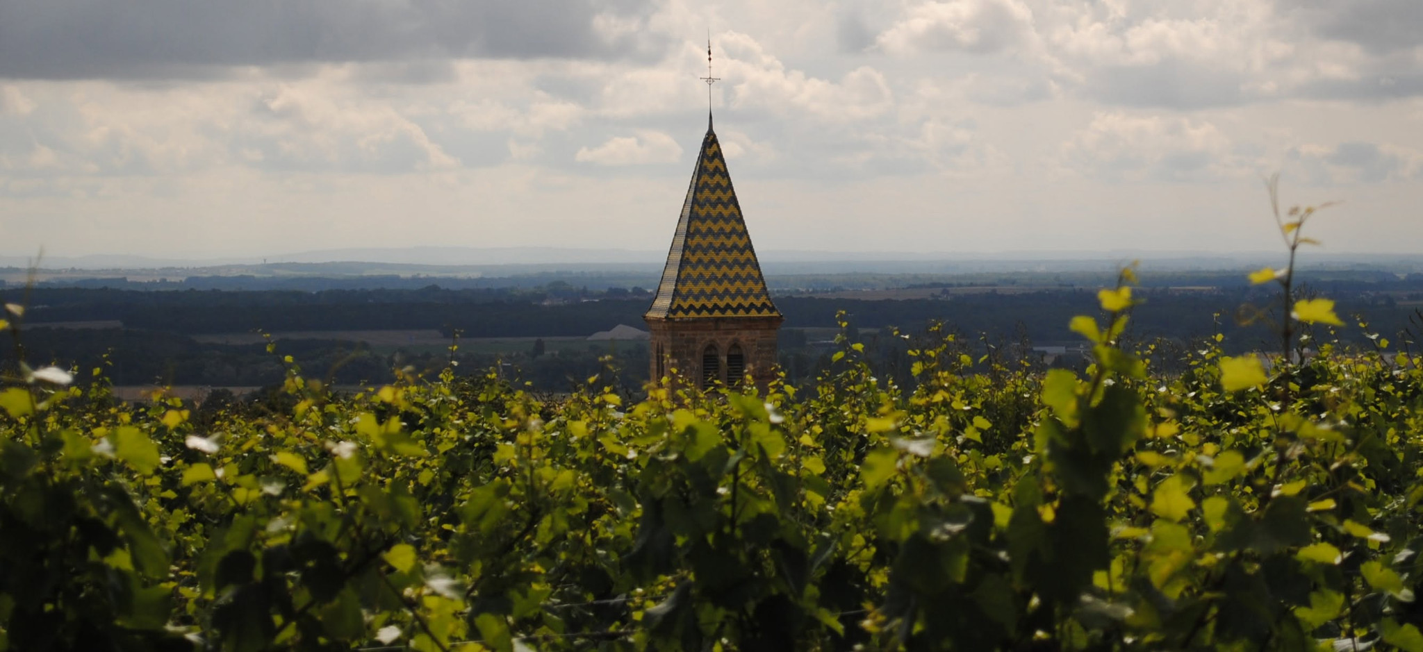 Au départ de la Route des Grands Crus