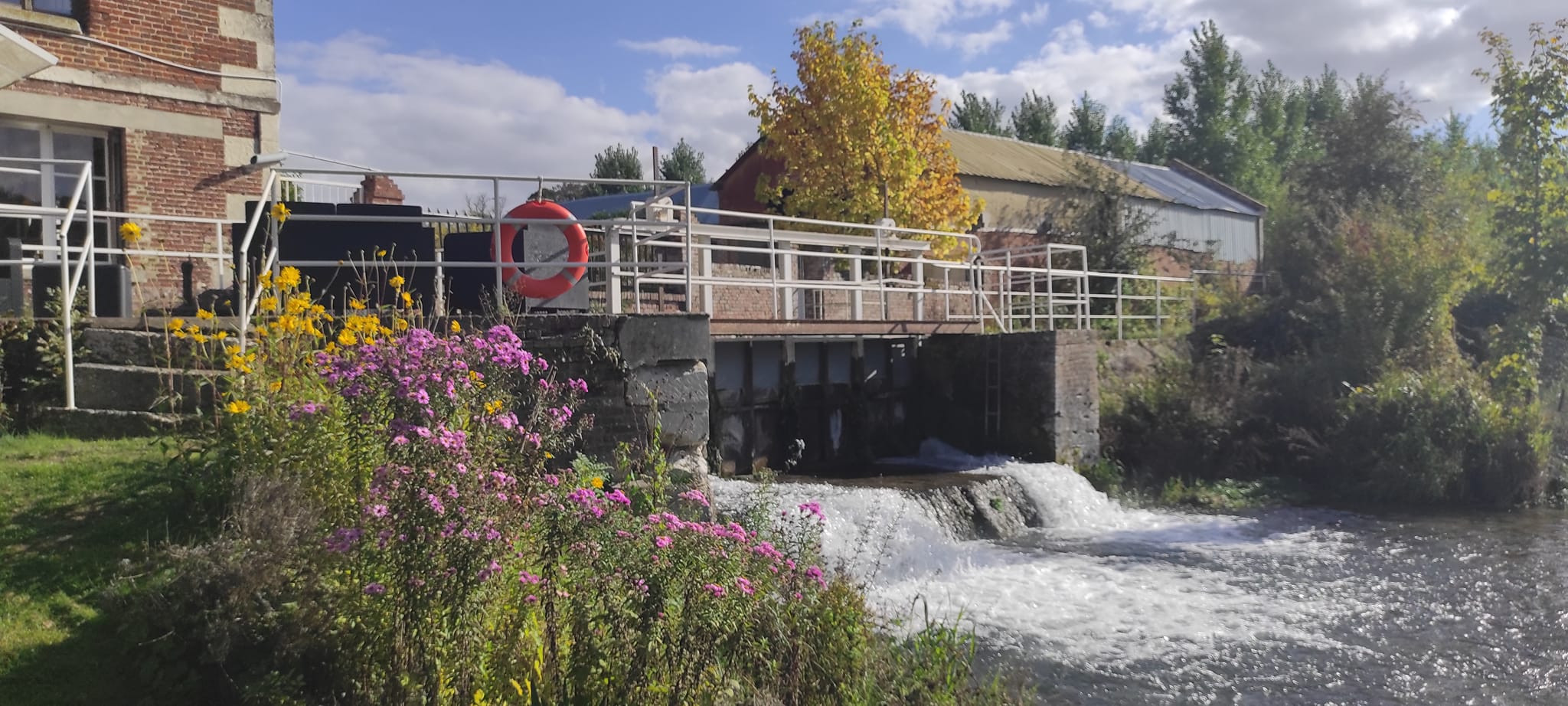 Au bord de la rivière