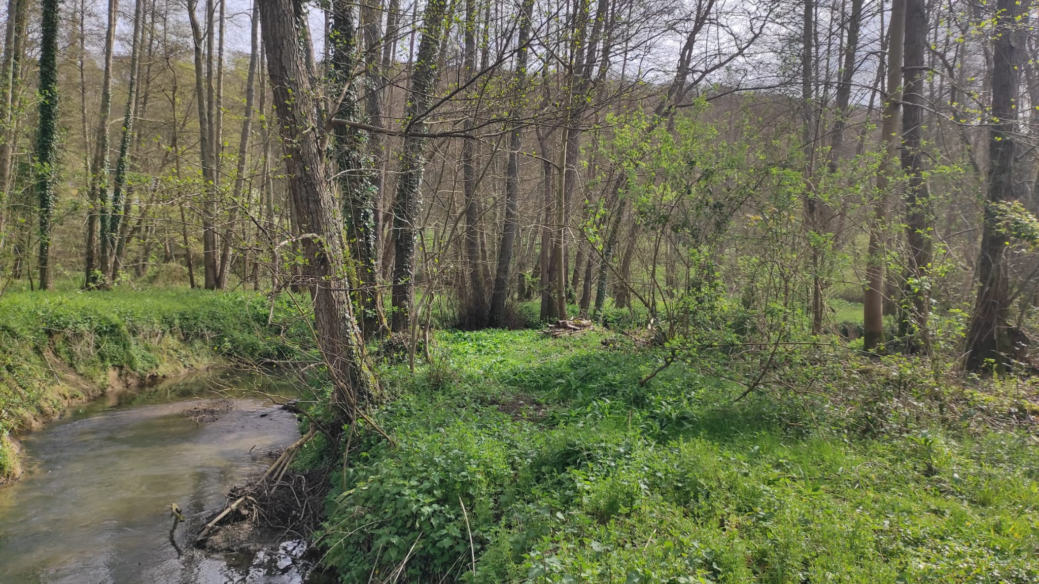 Le paradis des oiseaux