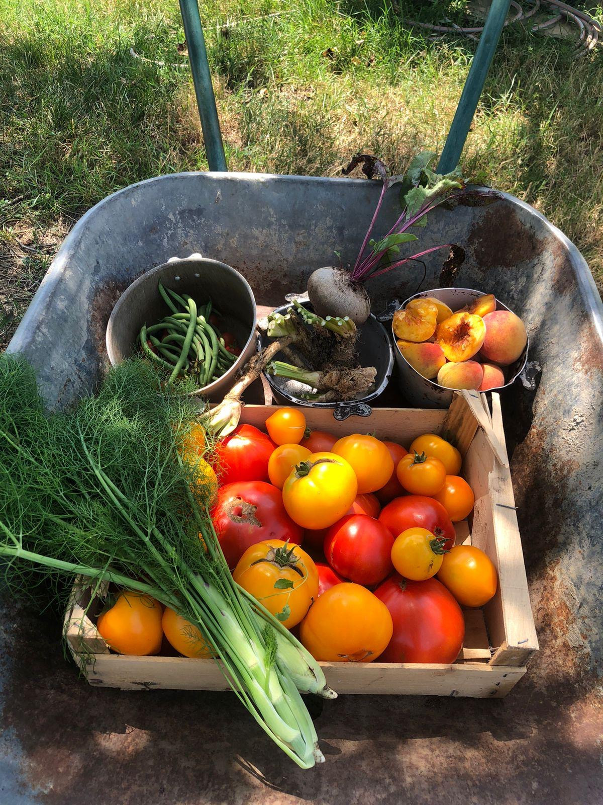 Produits de la ferme