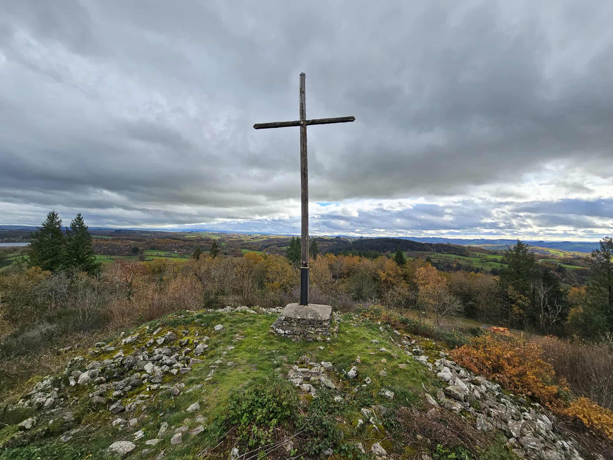 Les châtaigniers