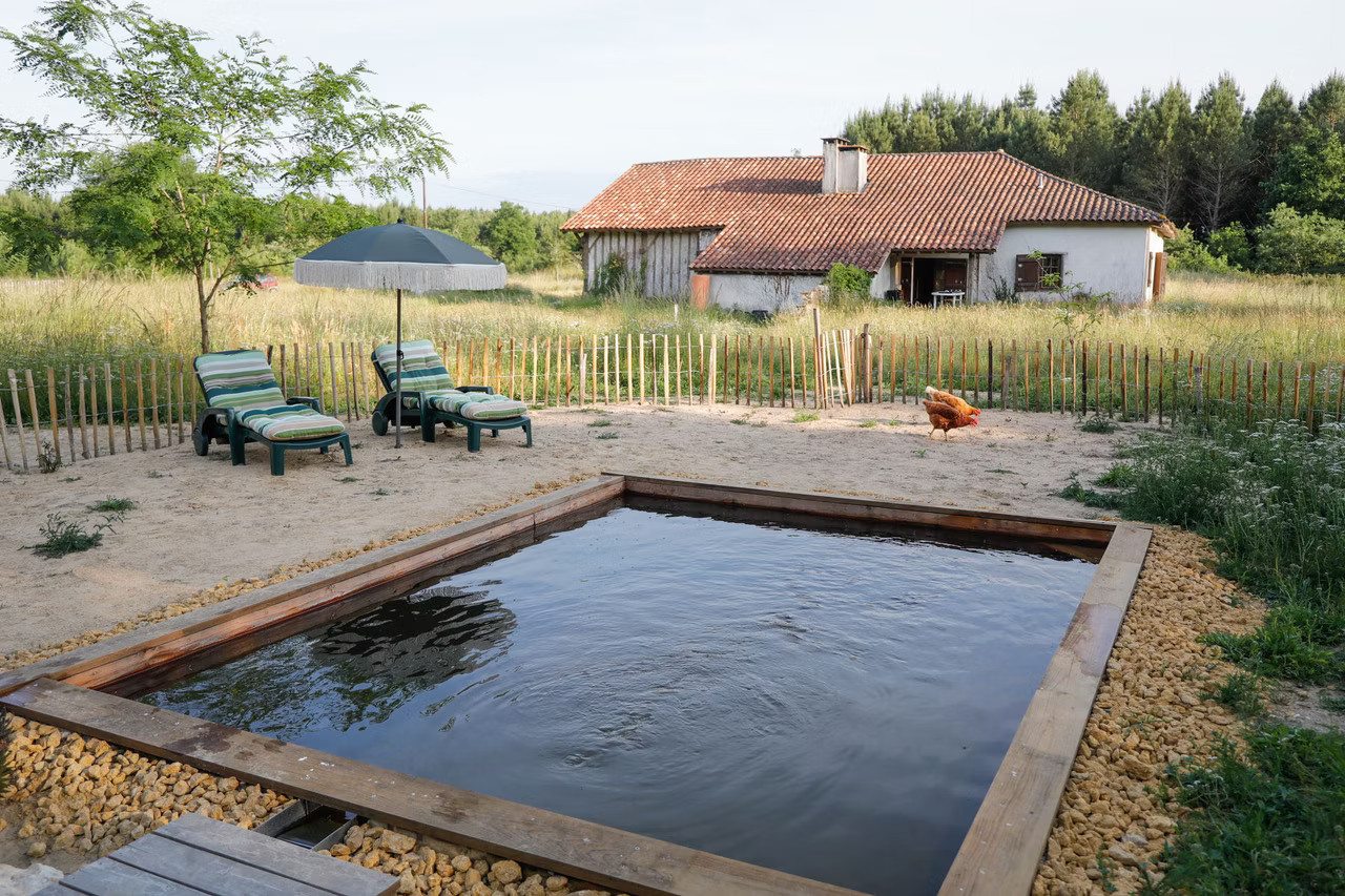 Piscine en pleine nature
