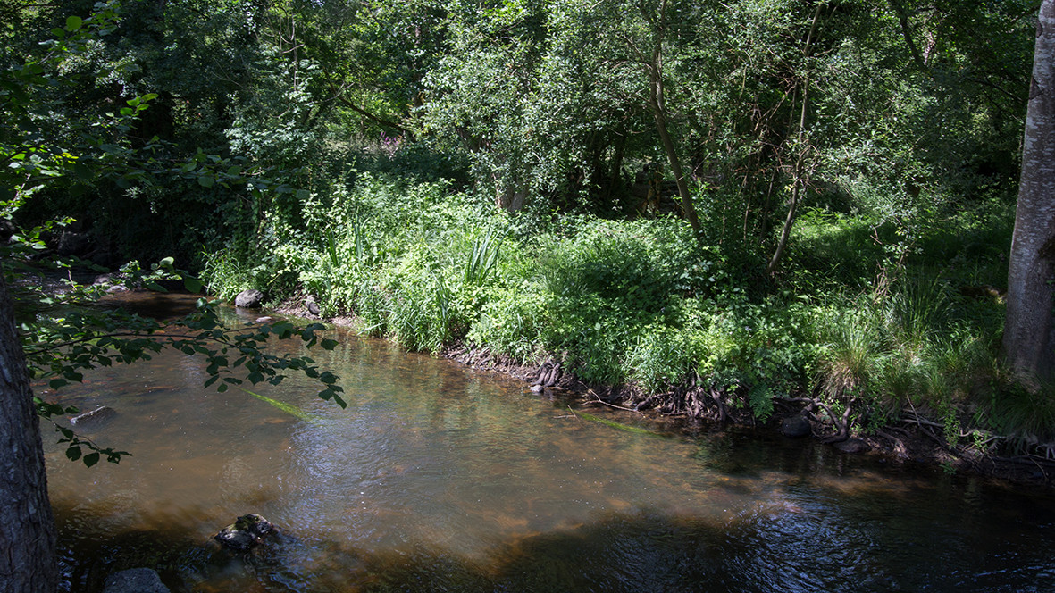Baignade en rivière saine