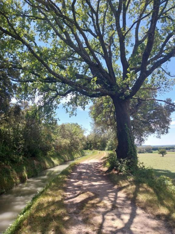Randonnées dans une campagne préservée