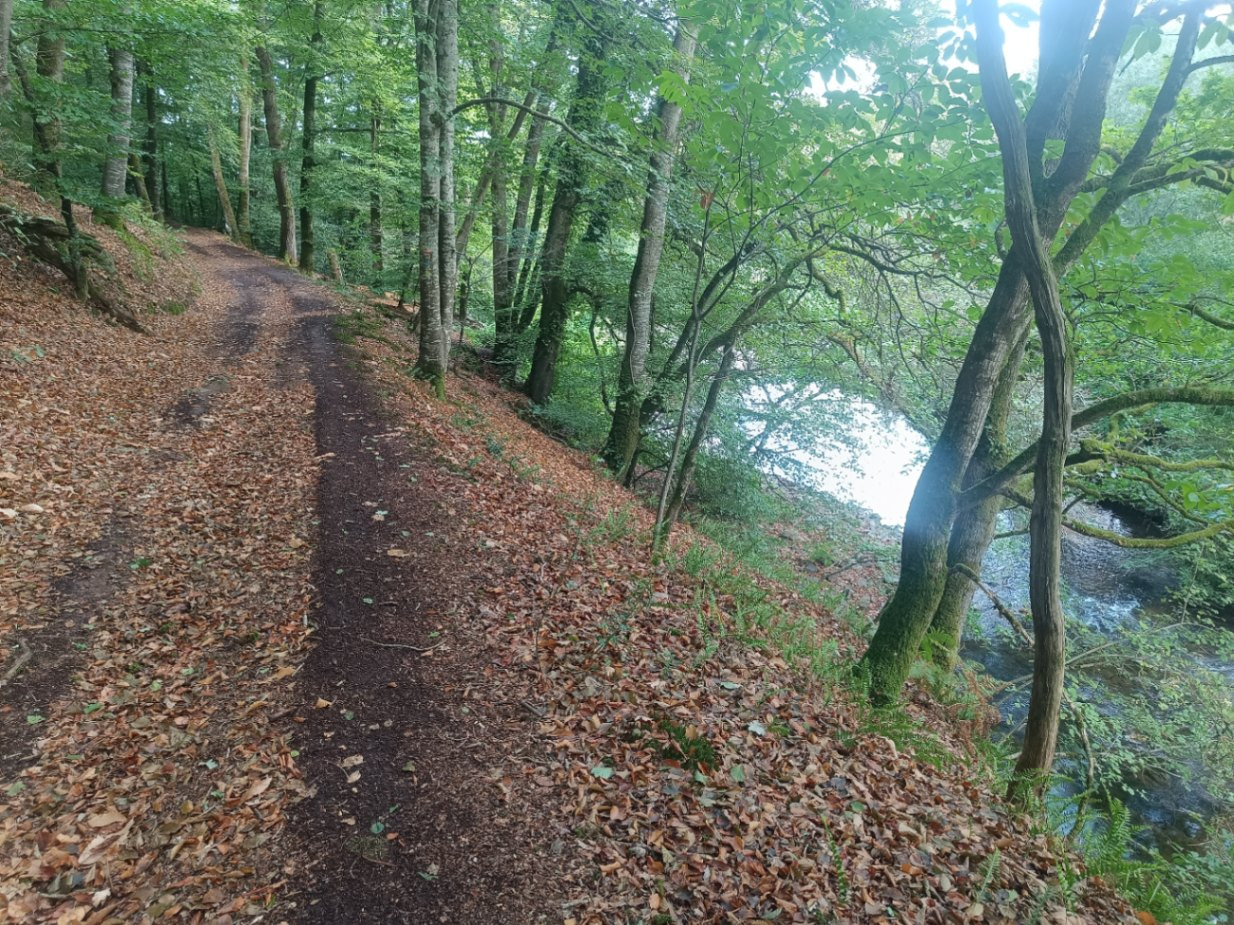 Départ de chemin de randonnée depuis le gîte