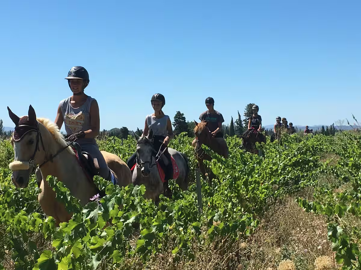 Possibilité de faire des promenades à cheval ou des cours