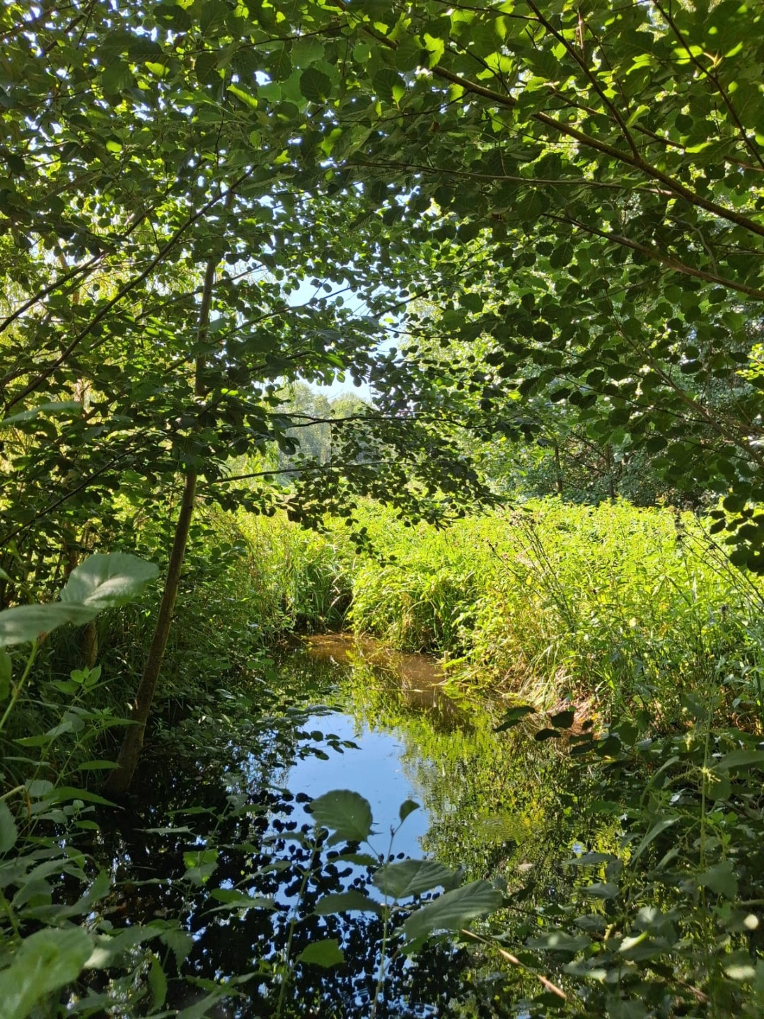 Bâtisse située le long d'un petit ruisseau
