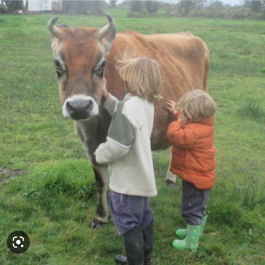 Activités à la ferme