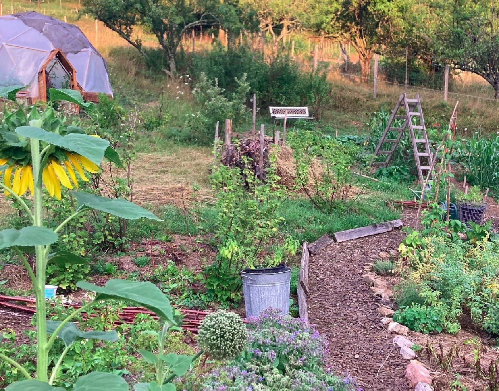 Weekend stage permaculture 18-20 septembre 2026