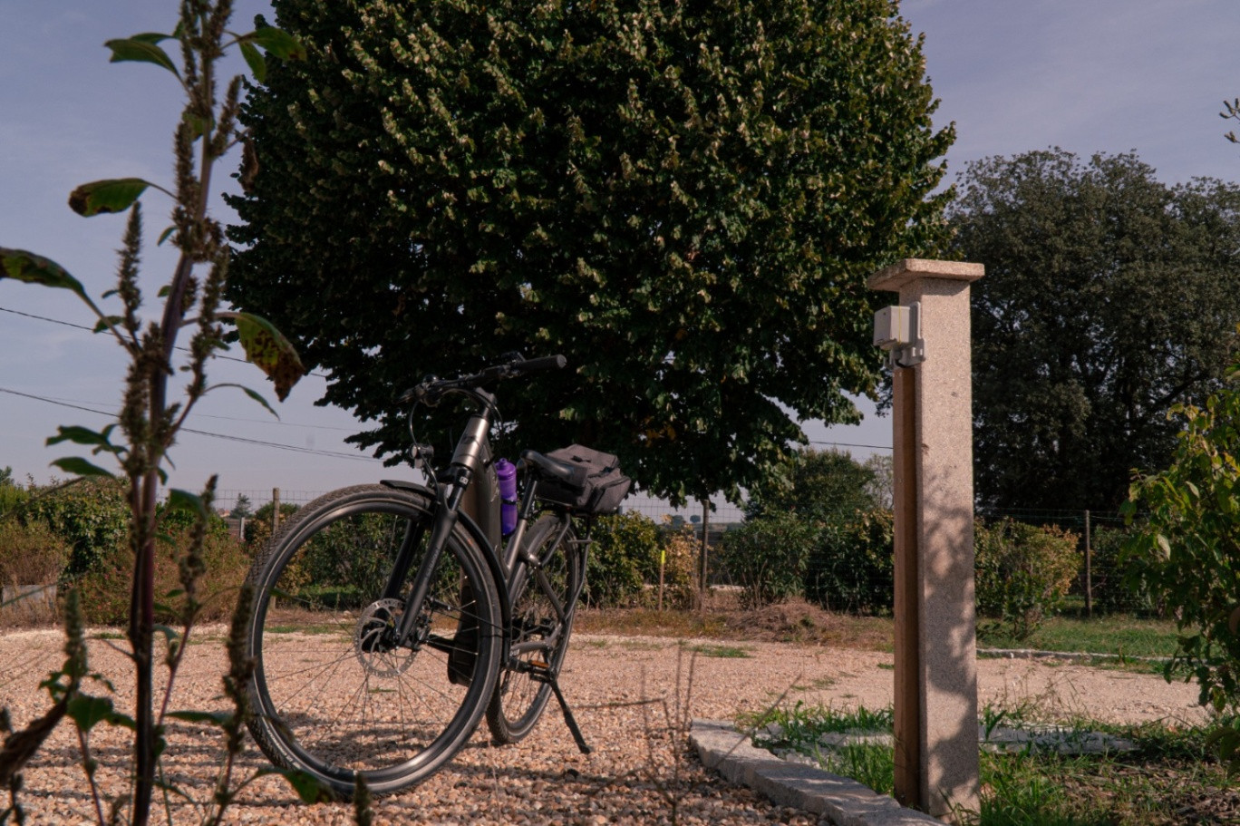 Location de vélos sur place