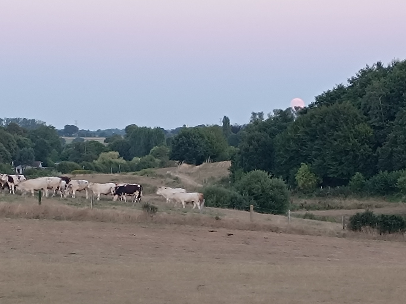 Randonnées au départ du gîte