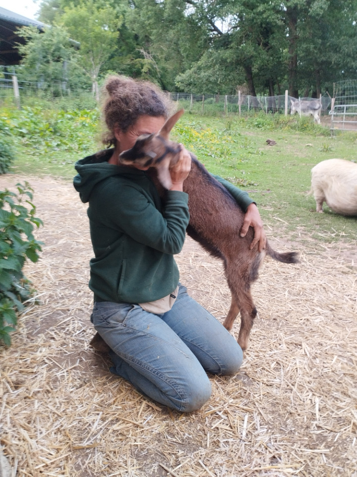 Visite de la ferme