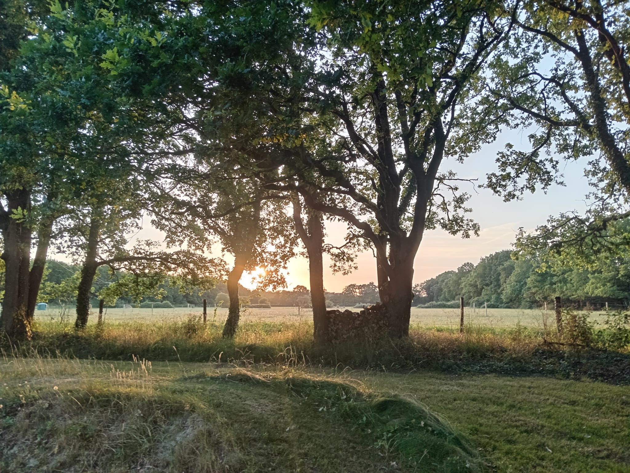 Invitation au calme dans un environnement reposant