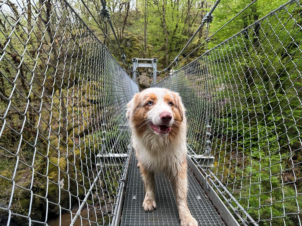 randonnées dans les gorges de l'Auvézère