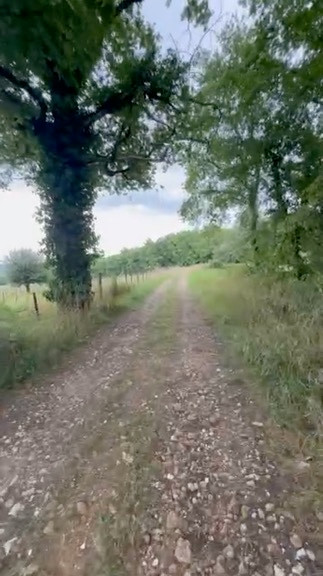 Un vignoble en Seine et marne : oui c'est possible