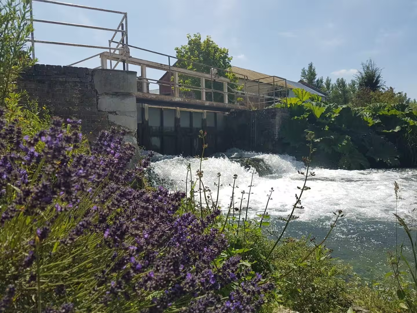 🌊 Bord de rivière au Moulin des Prés – Détente, nature et sérénité