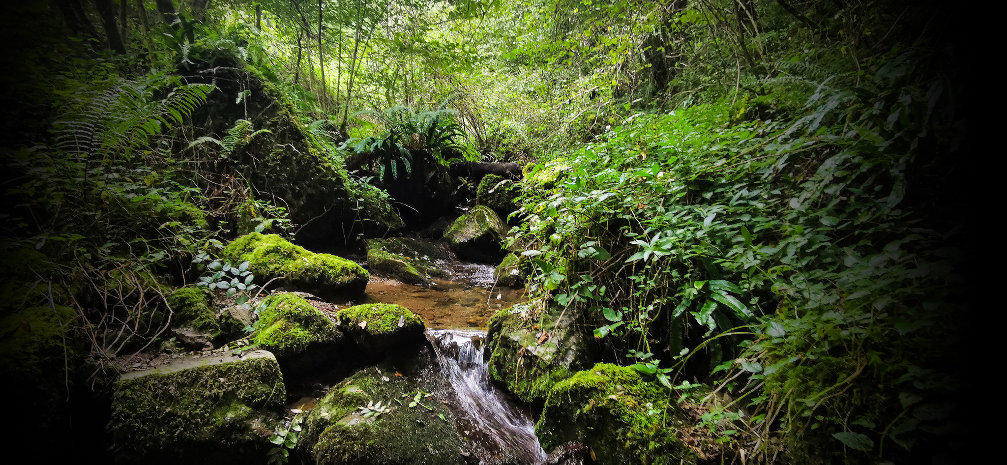 Bassin naturel et baignade en rivière