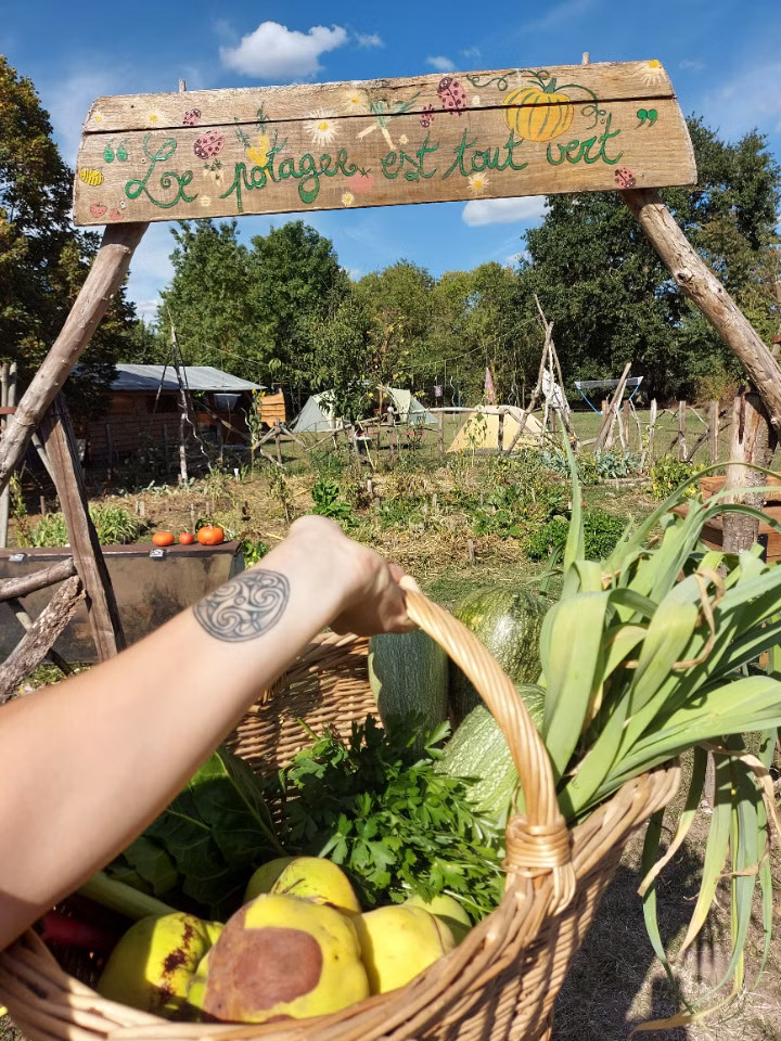 Visite du potager