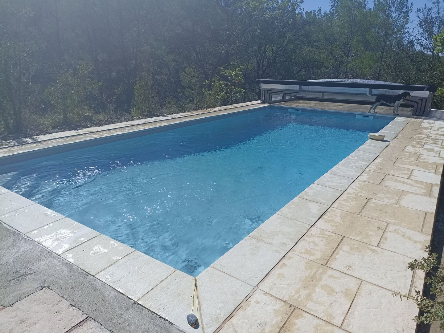 Piscine partagée